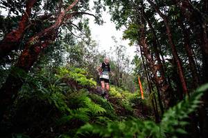 BIB: 
                            <button type="button" onclick="openModal(26201008)" class="btn btn-primary btn-sm float-right btn-popup" data-toggle="modal" data-target=".modal-high-quality">
                        <i class="fas fa-shopping-cart"></i> Add to Cart
                    </button>
                                            <button type="button" onclick="isThisMe(26201008, true)" class="btn btn-success btn-sm float-right btn-popup btn-isme hidden" data-toggle="tooltip" data-placement="bottom" title="นี่คือรูปของคุณใช่ไหม คลิกที่นี่เพื่อเอาเข้าอัลบั้ม">
                        <i class="fas fa-plus"></i> Add to album
                    </button>
                    <button type="button" onclick="isThisMe(26201008, false)" class="btn btn-warning btn-sm float-right btn-popup btn-isnotme hidden">
                        <i class="fas fa-ban"></i> Remove from album
                    </button>